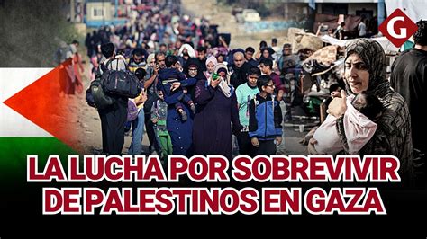 As Viven Los Palestinos Que Fueron Obligados A Huir Al Sur De Gaza