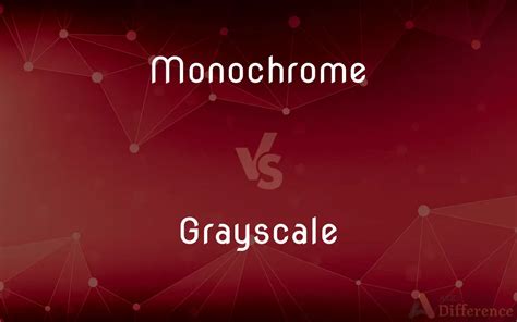 Monochrome Vs Grayscale — Whats The Difference