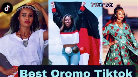 Sirba Afaan Oromoo Haaraa Oromo Music Oromotiktok YouTube