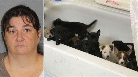 Woman Accused Of Selling Sick Puppies Via Fake Rescue Organization