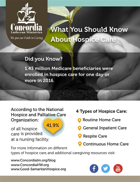Infographic Examples In Hospice