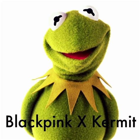 Bp As The Holy Kermit Memes 🐸 Blink 블링크 Amino