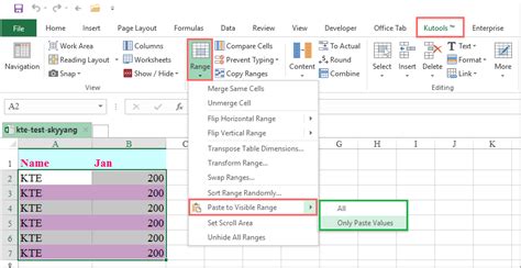 How To Paste Data Into Filtered List Only Skipping Hidden Rows In Excel