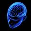 Human Brain In Blue Transparent Head Photograph By Ikon Images