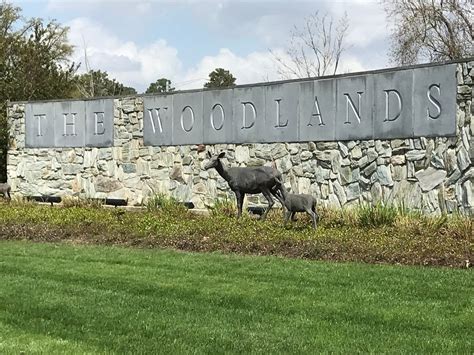 The Woodlands Township Seeking Input On Incorporation The Woodlands