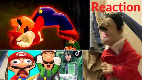 Smg4 Mario Reacts To Tik Toks 2 Ft Luigi Reaction Puppet Reaction