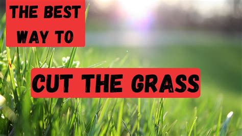 Use them in commercial designs under lifetime, perpetual & worldwide rights. BEST WAY TO CUT THE GRASS - Just in time for summer lawn ...