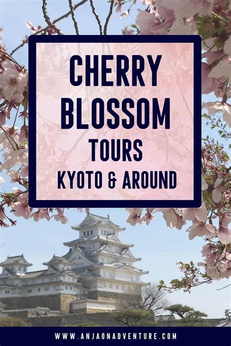 10 Stunning Japan Cherry Blossom Tours That You Will Absolutely Love In