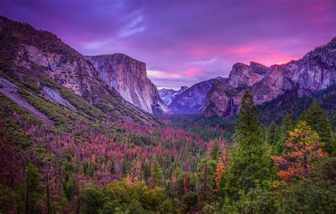 √ Wallpaper Yosemite Landscape Popular Century