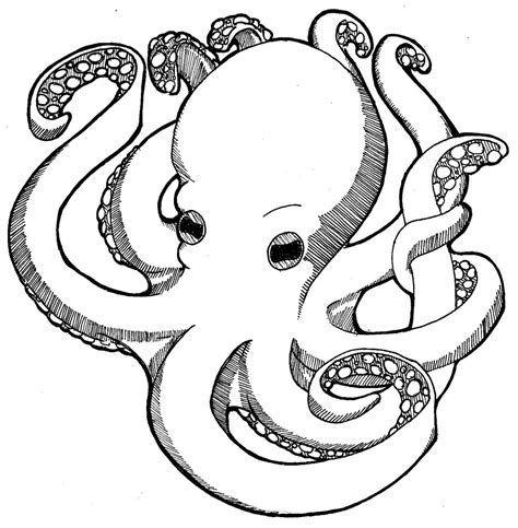 Free Octopus Drawing Cliparts Download Free Octopus Drawing Cliparts