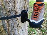 Pictures of Tree Climbing Boot Spikes