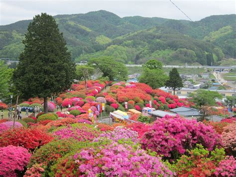 名站推薦 tips：2021年6月24日 已更新失效連結 total 13 ». 鶴峯公園 | 諏訪観光連盟