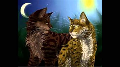 Cutest Warrior Cat Couples Youtube