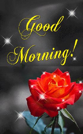 In this video we will see how to send gif in whatsapp messenger. Pin by Avdhesh Singh on Good Morning Gif for Whatsapp ...