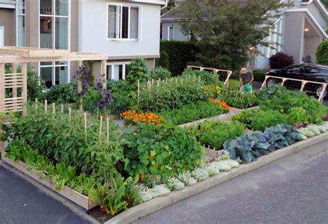 Vegetable garden ideas, design & what to grow. HomeOfficeDecoration | Urban vegetable gardening