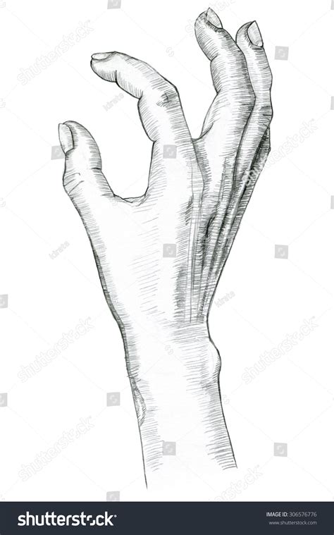 Hand Pinch Gesture Hand Drawing Pencil Stock Illustration 306576776