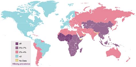 Global Prevalence Of Chronic Hepatitis B Virus Hbv Infection In