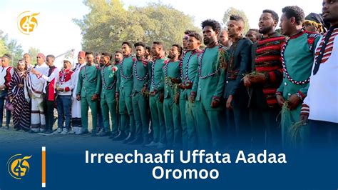Irreechaafi Uffata Aadaa Oromoo Youtube