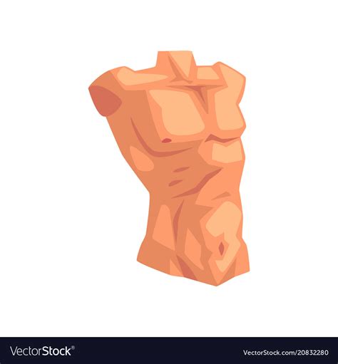 Torso Male Body Part On A Royalty Free Vector Image