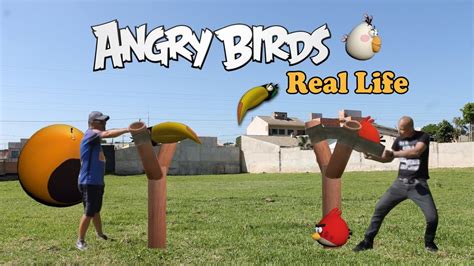 Angry Birds Real Life Youtube