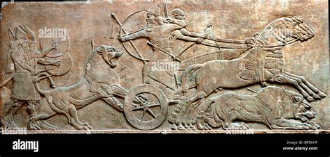 Lion Hunt Assyrian King Asurbanipal In His Carriage Kills Lions