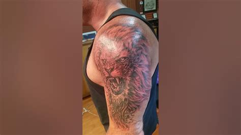 Mike Terwilliger King Lion Tattoo Youtube