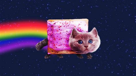 Nyan Cat In Real Life Youtube