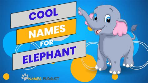 100 Cool Names For Elephants A Z List