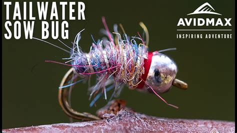 How To Tie The Tailwater Sow Bug Avidmax Fly Tying Tuesday Tutorials