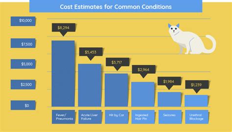 How Much Does It Cost To Own A Cat In 2023