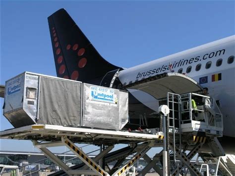 Brussels Airlines Focuses On West Africa Cargoforwarder Global