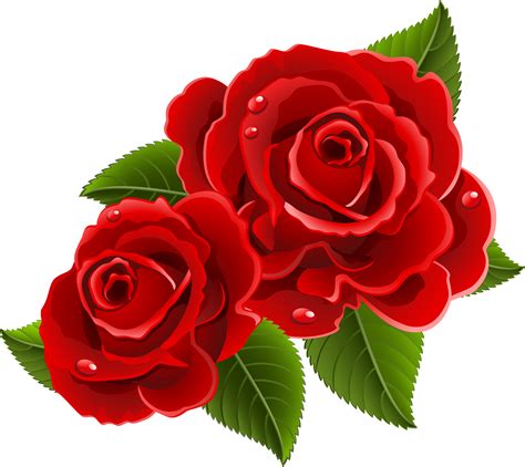 Red Deco Rose Png Clip Art Image Rose Flower Pictures Flower Drawing
