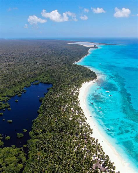 Descubre Isla Saona Un Paraíso En La República Dominicana
