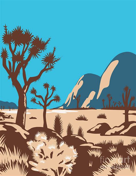 Joshua Tree National Park Riverside County California United States Wpa