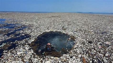 North Pacific Garbage Island From Space