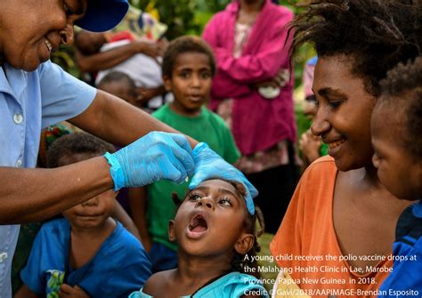Eradicating Polio In Country Case Studies On The Final Phase Of Polio
