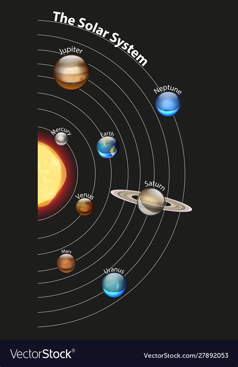 Our solar system's star that is made of hydrogen and helium gases, and supplies the heat and light that sustains life on earth. Diagram showing solar system Royalty Free Vector Image
