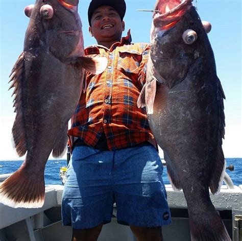 Adventurers Reel In Massive Fish During Deep Sea Excursions Off