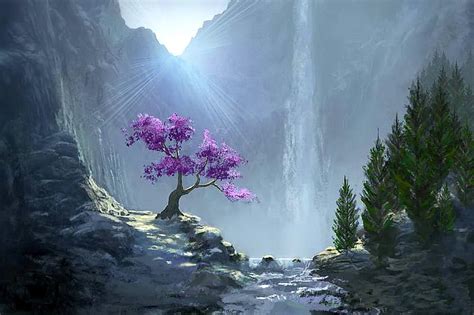 Heavenly Morning Colorful Sun Bonito Valley Mountain Tree