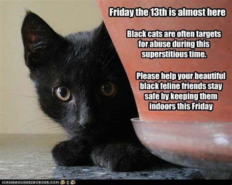 Ok, they're fun to read in the back pages of a newspaper and on fml every sunday (but our are knowingly silly), but they should in no way be taken seriously. Stop Black Cat Abuse - Fri 13th