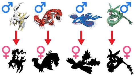 arceus groudon kyogre rayquaza legendary pokemon gender difference youtube