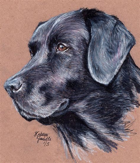 Pin By Bev D On Wild Life Dog Drawing Labrador Art Dog Paintings