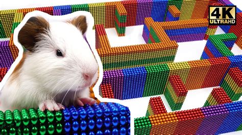 Diy How To Build Amazing Maze Labyrinth For Pet Hamster From Magnetic