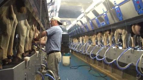 How Canadian Milk Gets From Farm To Table Youtube