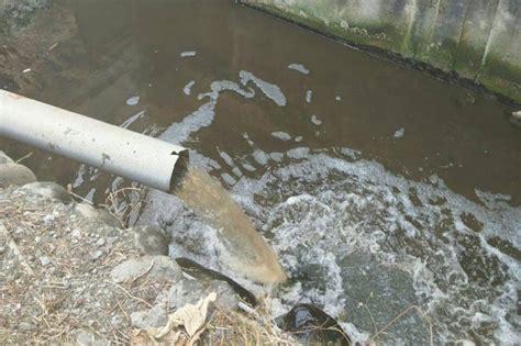 The site owner hides the web page description. 稽查不放假 屏縣查獲1牧場偷排廢水 - 屏東縣 - 自由時報電子報