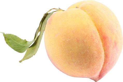Peach Png Image Purepng Free Transparent Cc0 Png Image Library Riset