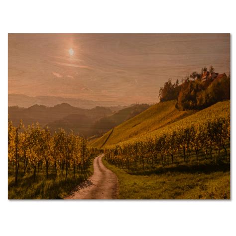 Millwood Pines Tuscana Wine Scenery In Summer Unframed Painting On
