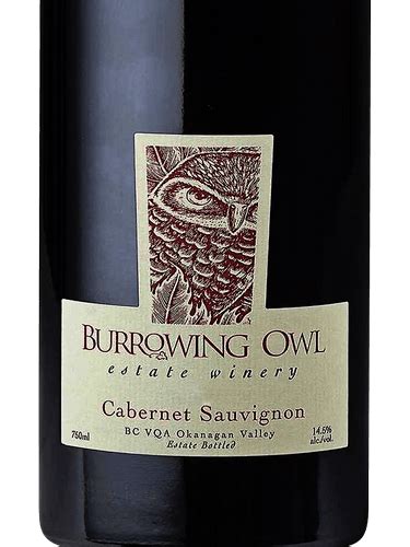 Burrowing Owl Cabernet Sauvignon Vivino Us