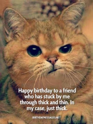 Happy birthday is just a wish,but, i will pray that you get everything my bestie,because you deserve the best in life,and, i pray you don't have to strive,so, stay blessed,wish. Funny Birthday Wishes: 250+ Uniquely Funny Messages