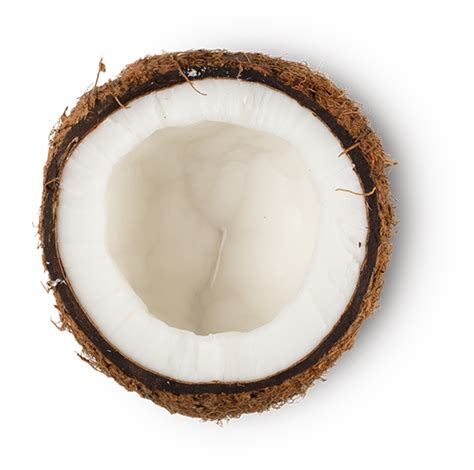 Coconut Oil Lush